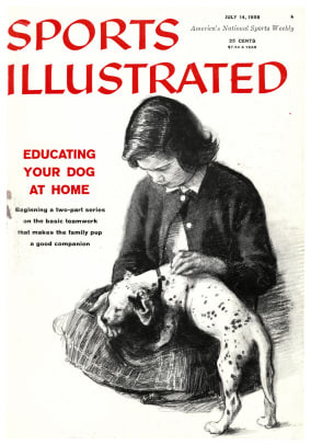 41239 - Cover Image